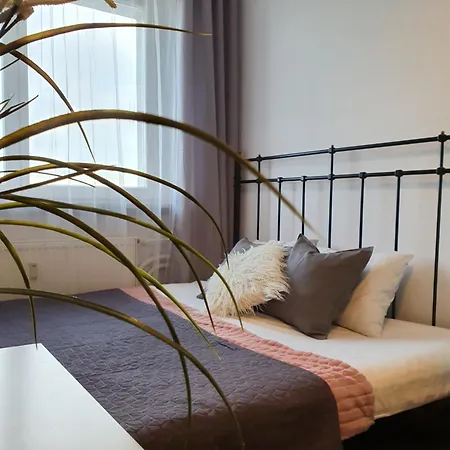 Duże Mieszkanie Na Płowcach Apartament *